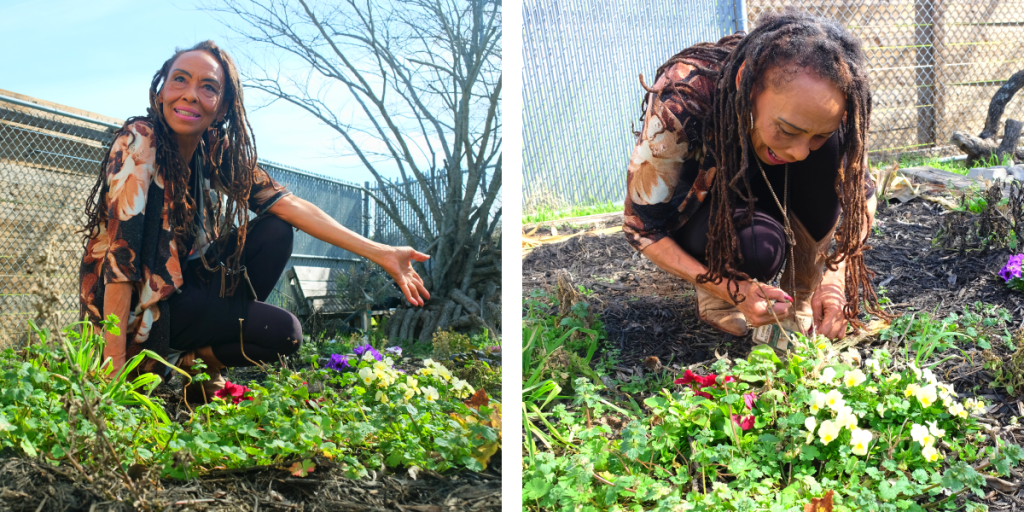 Left: Harvé speaks while kneeling in a garden of pansies. Right: Harvé pulls weeds from the garden.